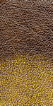 Gold leather sample